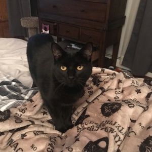 Meet your Posher, Laura